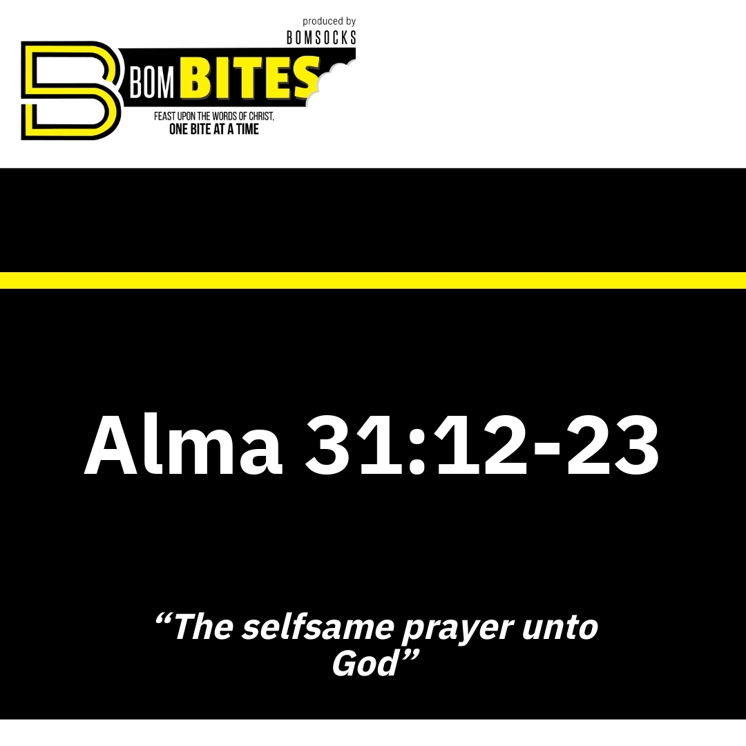 Read more about the article Alma 31:12-23