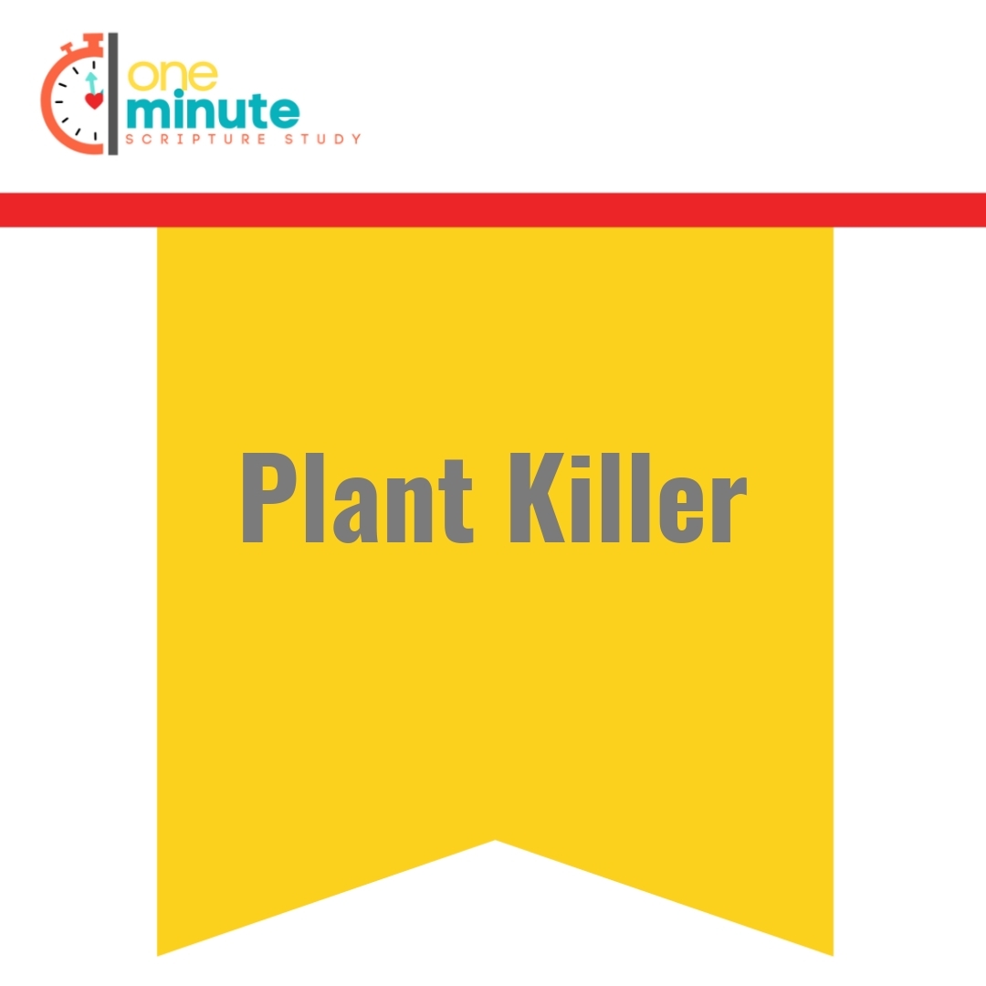 Read more about the article Plant Killer
