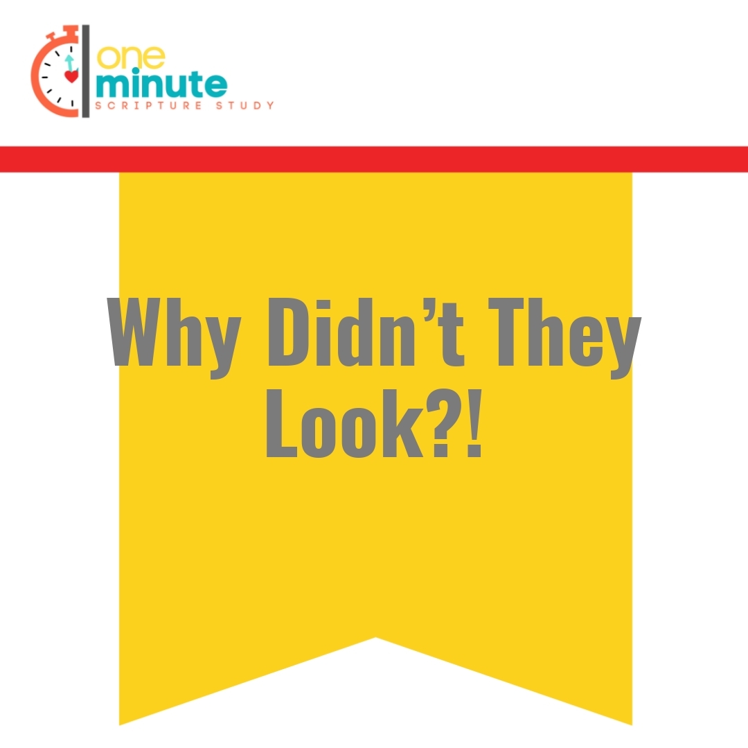 Read more about the article Why Didn’t They Look?!