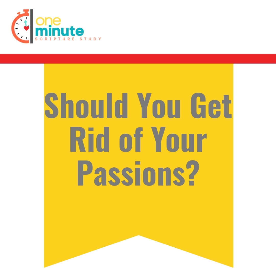 Read more about the article Should You Get Rid of Your Passions?
