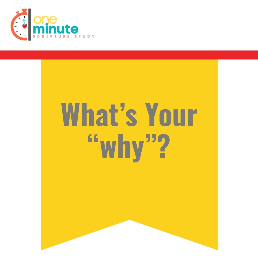 Read more about the article What’s Your “why”?