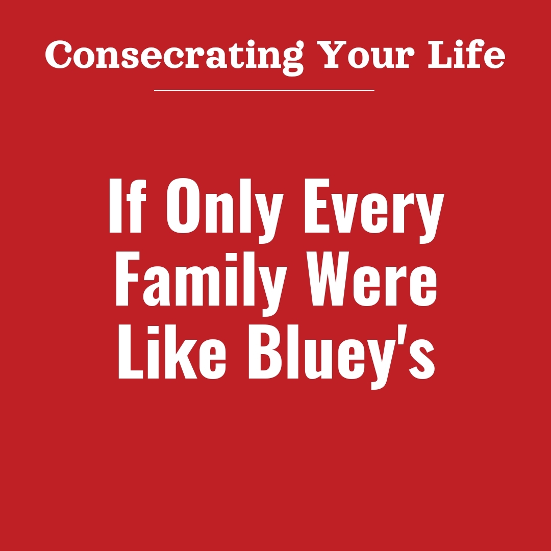 Read more about the article If Only Every Family Were Like Bluey’s