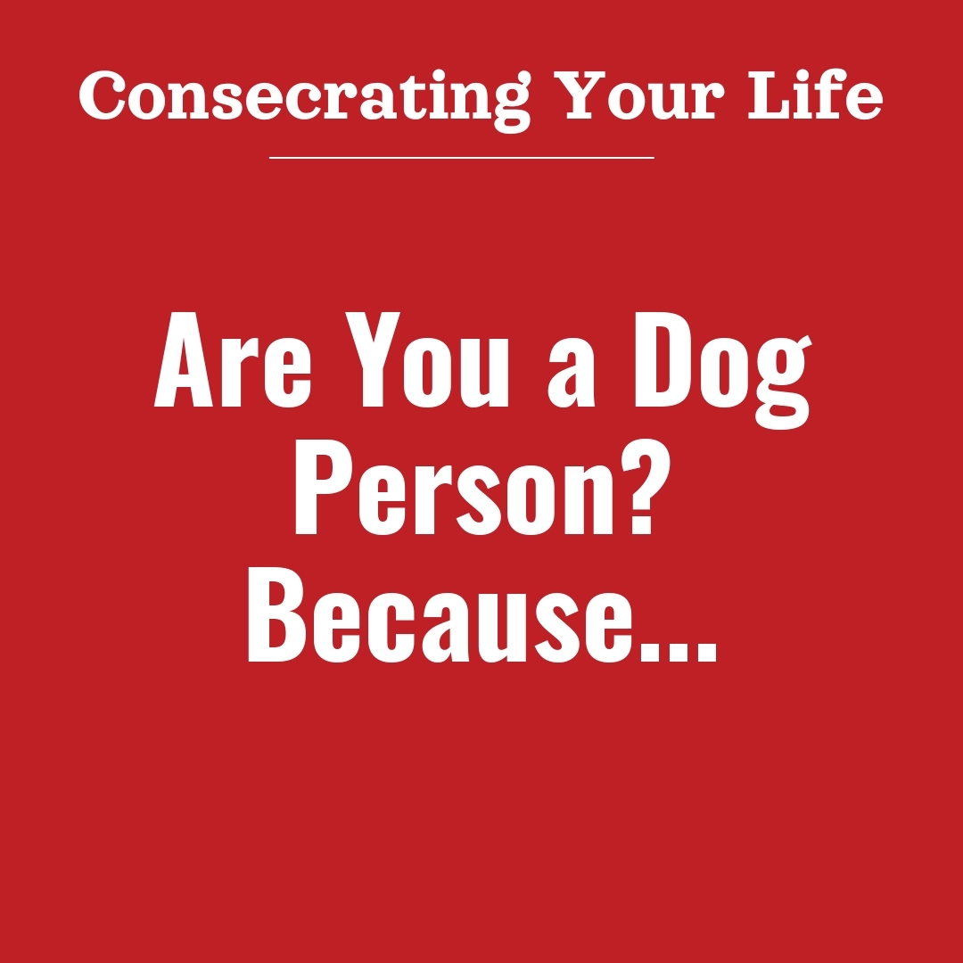 Read more about the article Are You a Dog Person? Because…