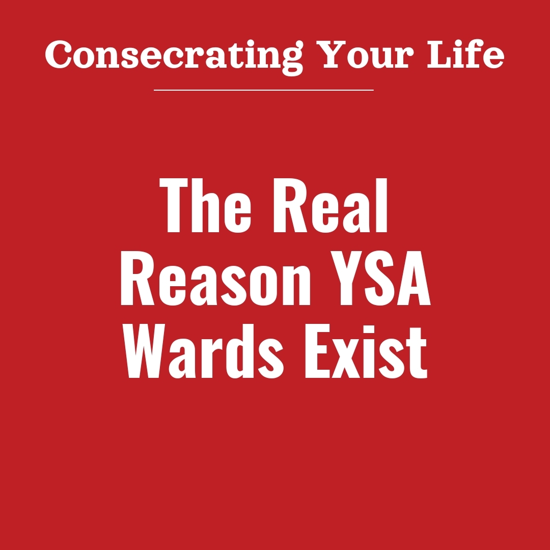 Read more about the article The Real Reason YSA Wards Exist