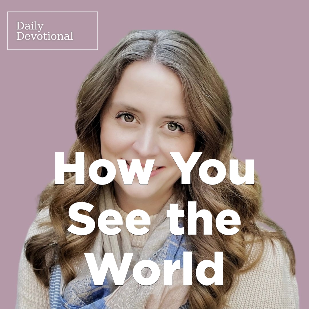Read more about the article How You See the World
