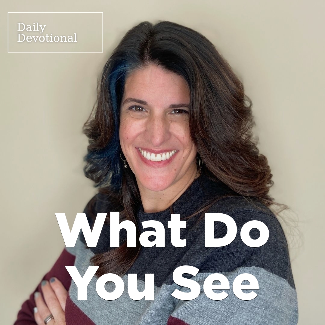 Read more about the article What Do You See