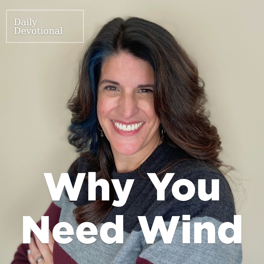 Read more about the article Why You Need Wind