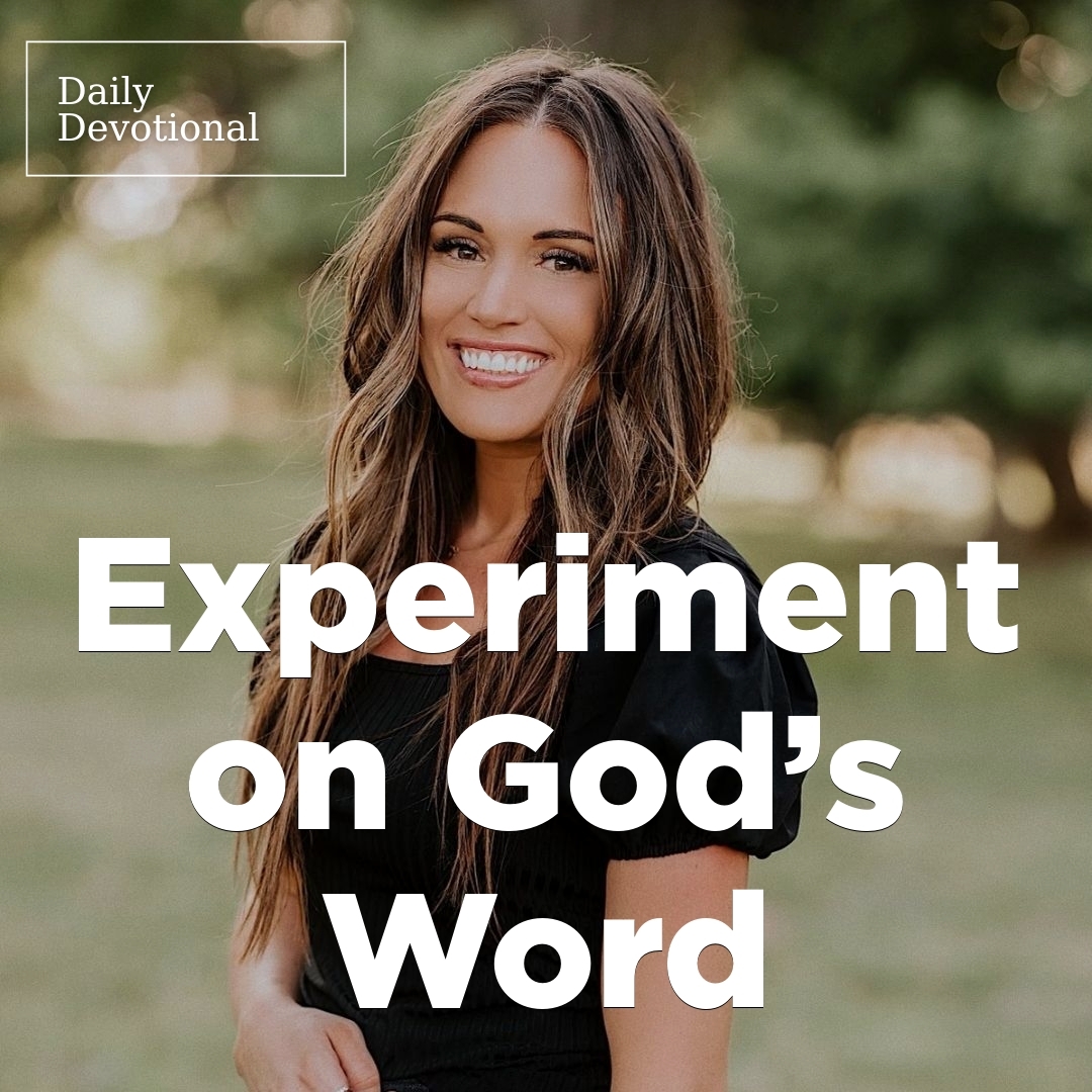Read more about the article Experiment on God’s Word