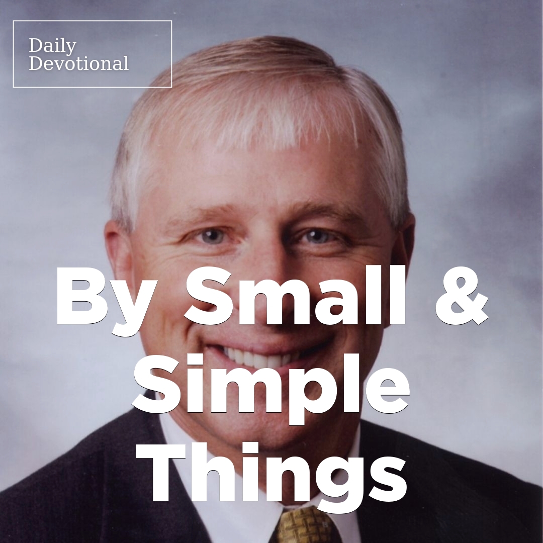 Read more about the article By Small & Simple Things