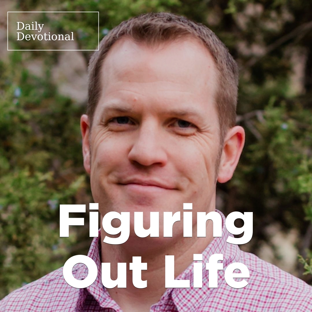 Read more about the article Figuring Out Life