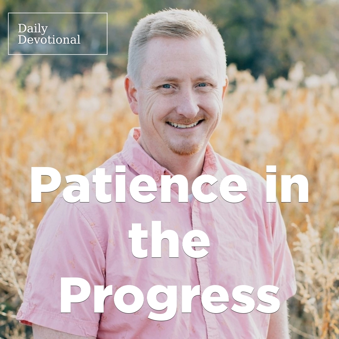 Read more about the article Patience in the Progress