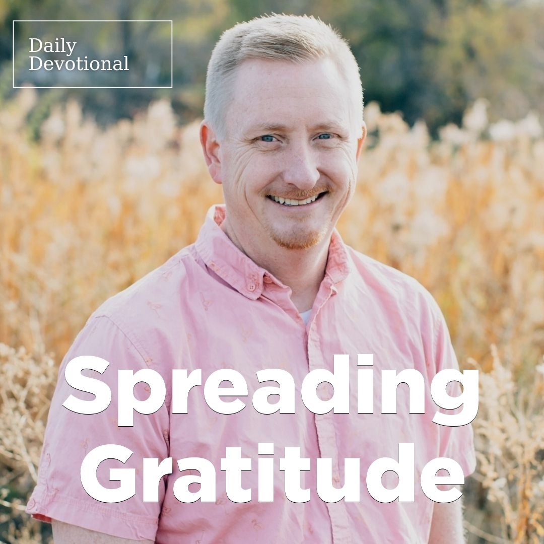 Read more about the article Spreading Gratitude