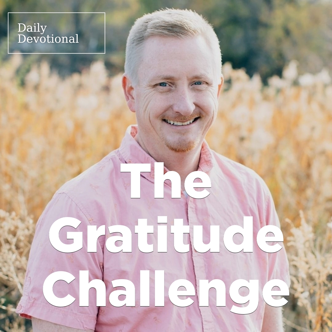 Read more about the article The Gratitude Challenge