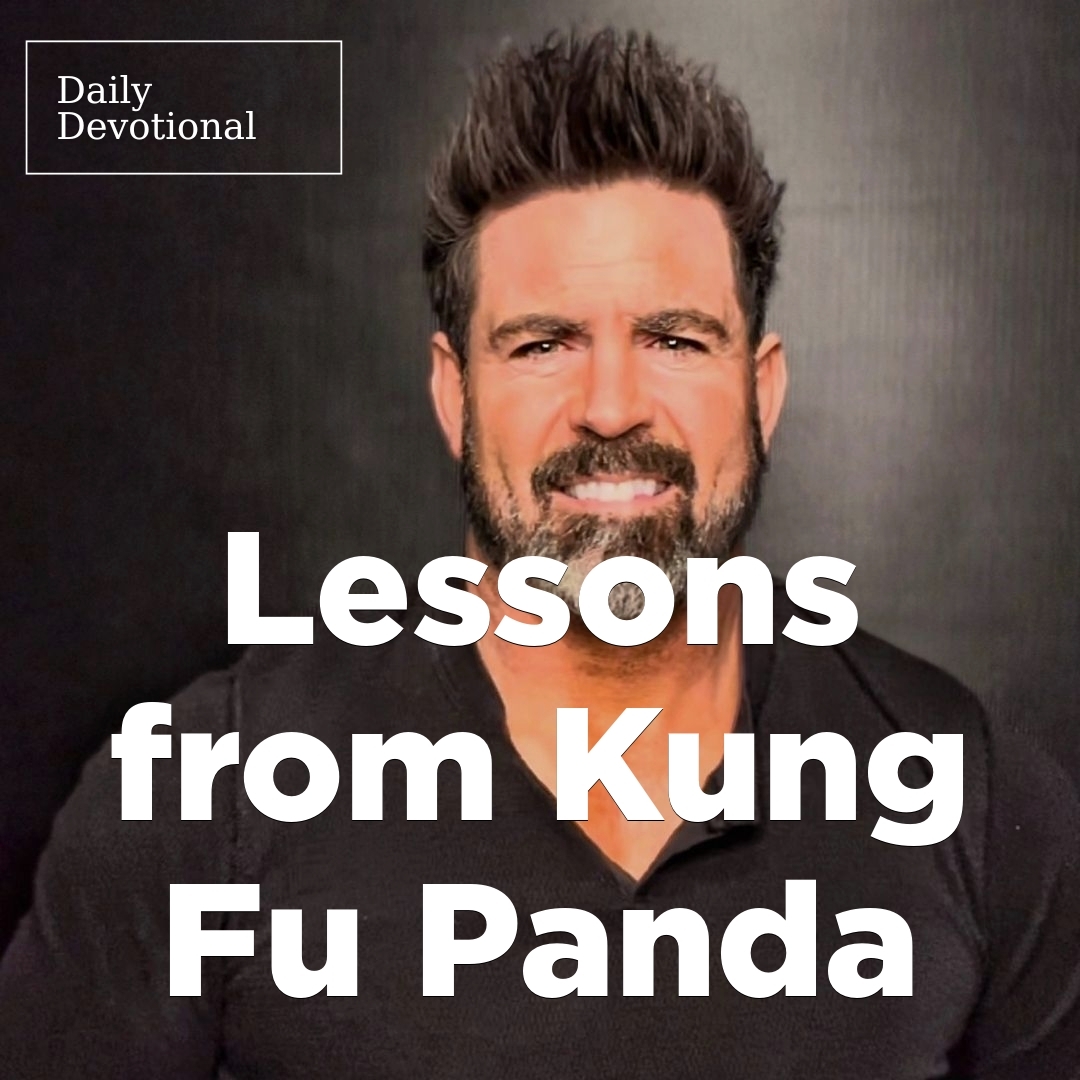 Read more about the article Lessons from Kung Fu Panda