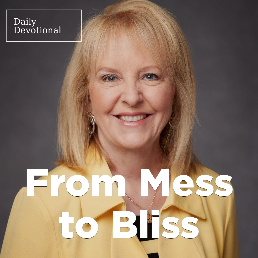 Read more about the article From Mess to Bliss