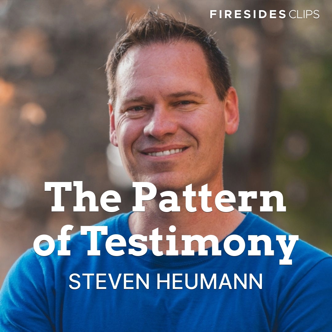 Read more about the article The Pattern of Testimony
