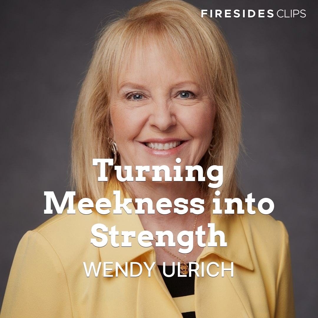 Read more about the article Turning Meekness into Strength