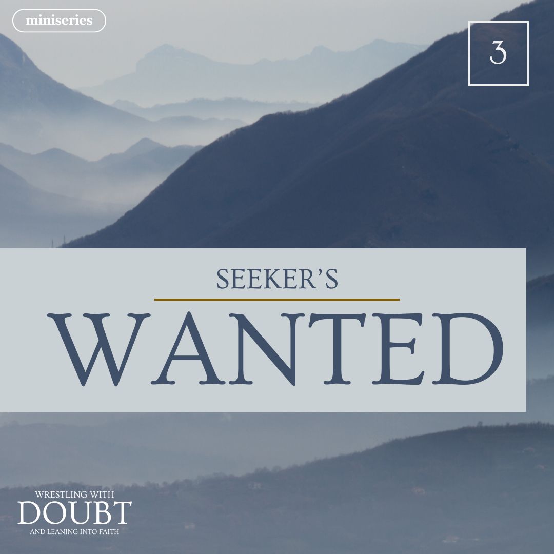 Read more about the article Seeker’s Wanted