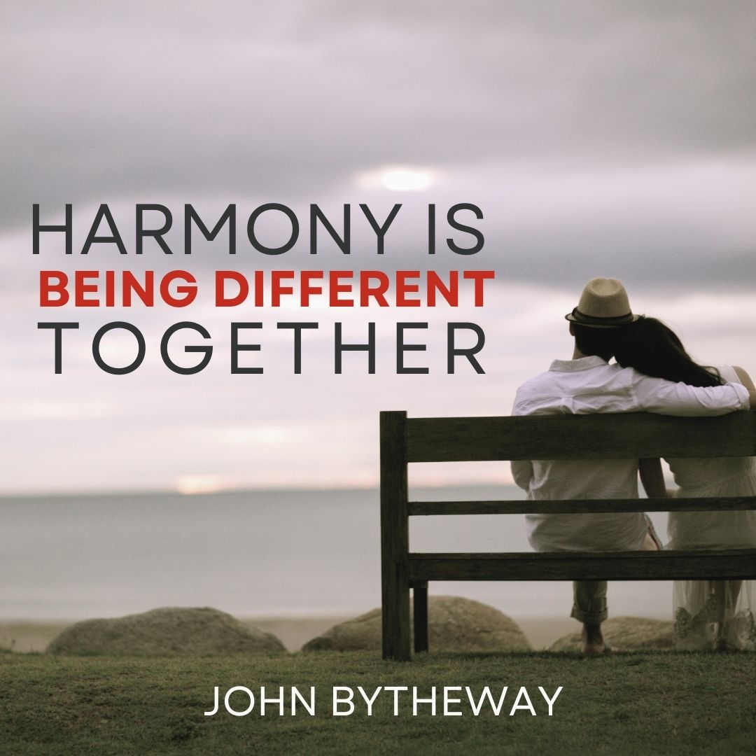 Read more about the article Harmony is Being Different Together