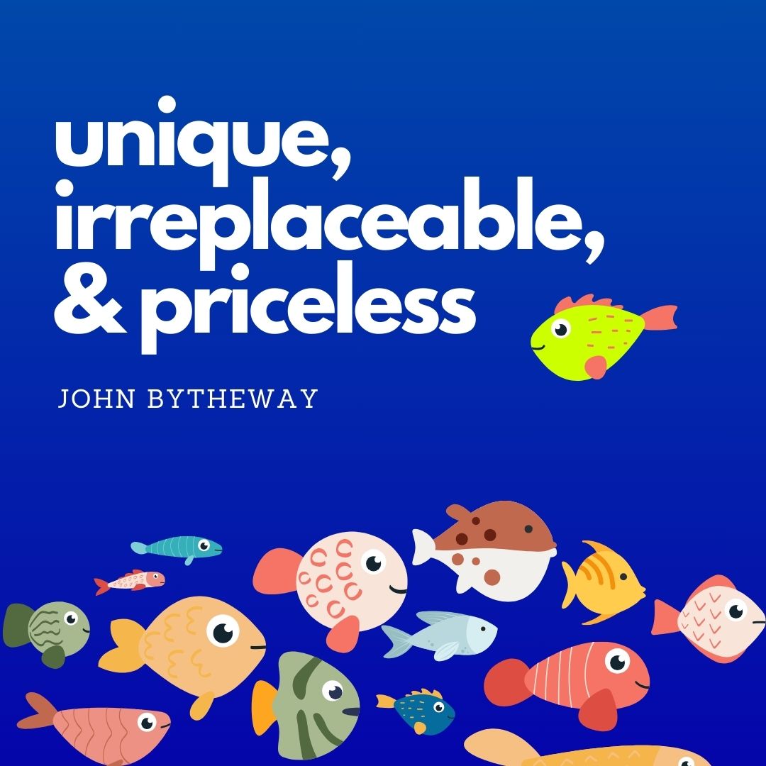 Read more about the article Unique, Irreplaceable, & Priceless