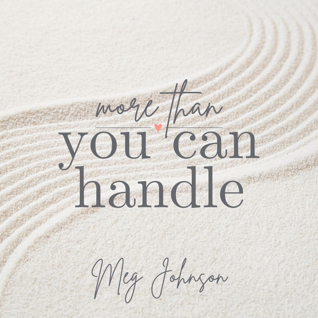 Read more about the article More Than You Can Handle