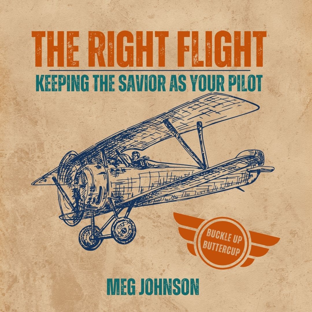 Read more about the article The Right Flight