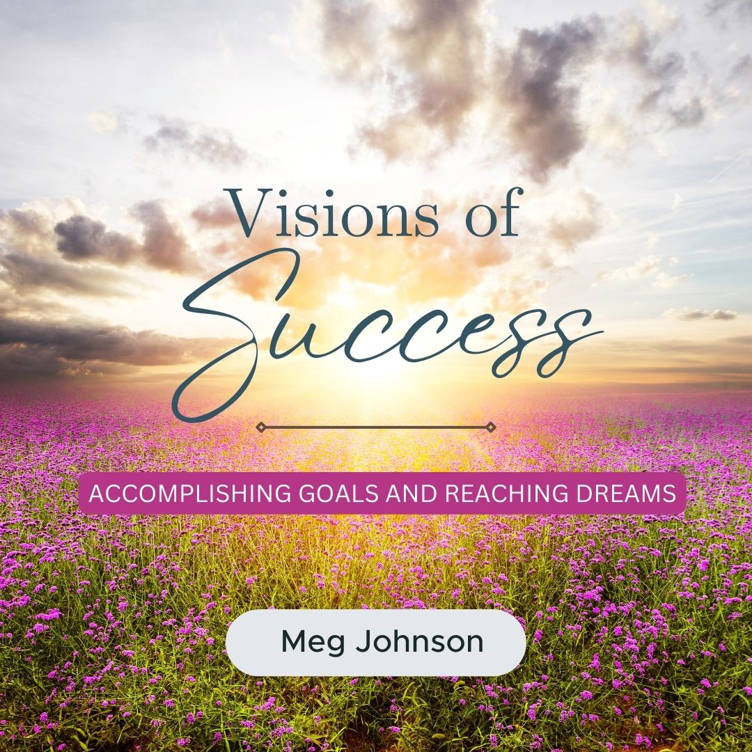 Read more about the article Visions of Success