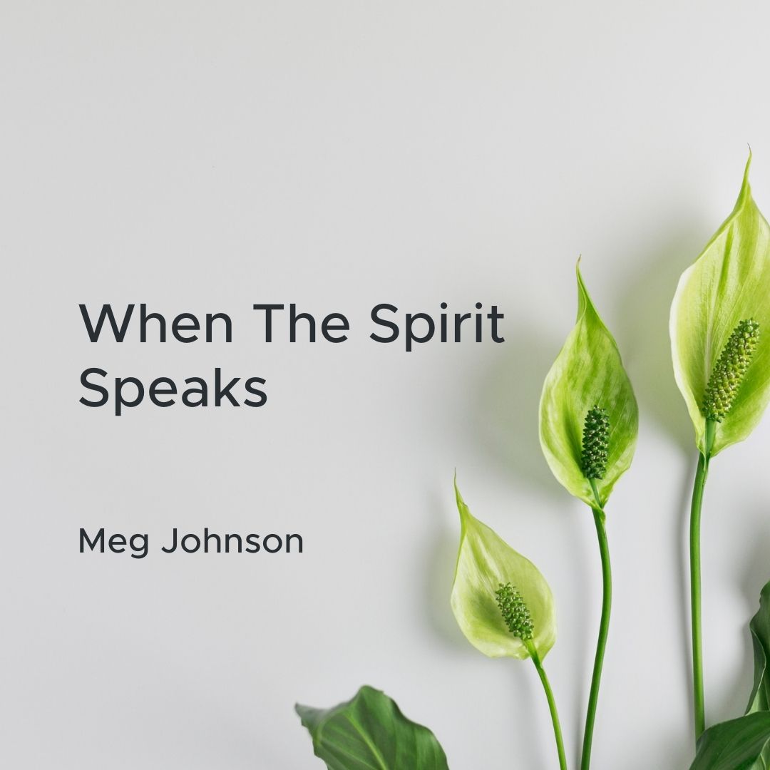 Read more about the article When the Spirit Speaks